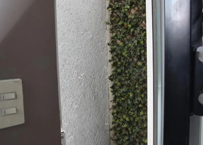 Habitación Privada Con Terraza En Polanco. Albergue